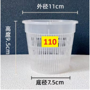 透明蘭花種植籃                      